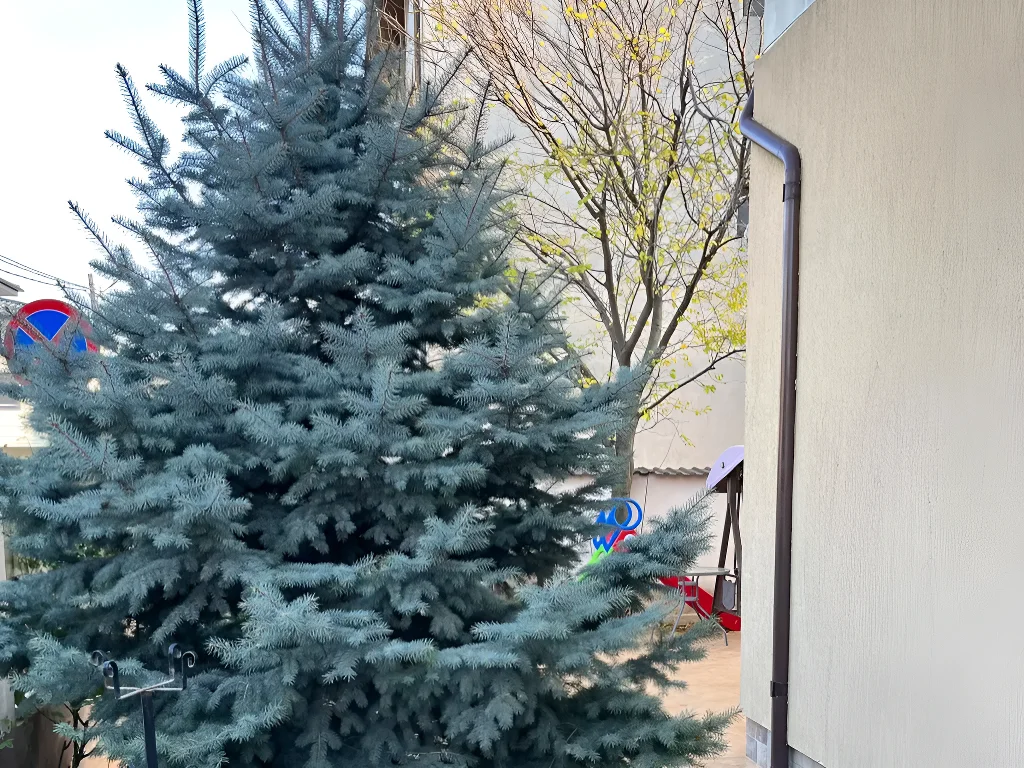 Închiriază Apartament 3 Camere în Popești Leordeni, Ilfov - Vilă cu Grădină, Suprafață Utlă 63mp - imaginea 12